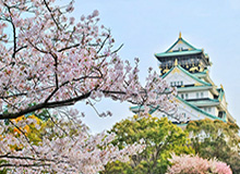 星空登录入口-【羞色NBA】鲨鱼前妻37岁魅力不减！95年小将频示爱